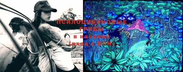 хмурый Кострома