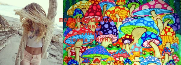 марки lsd Мурманск