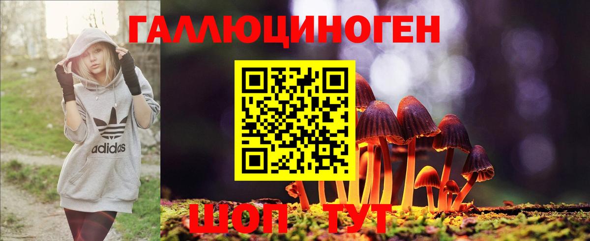 Галлюциногенные грибы мухоморы Бугуруслан