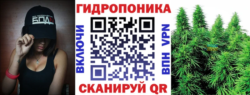 KRAKEN ТОР  Бугуруслан  Марихуана сатива 